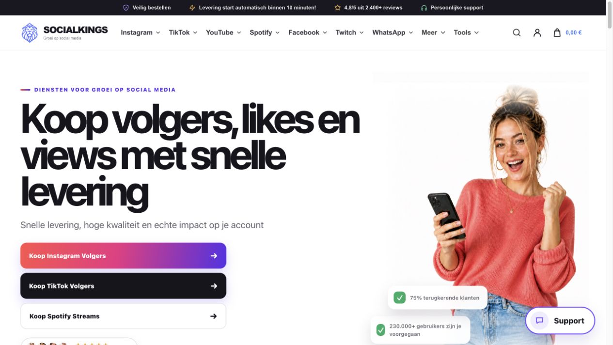 Actual homepage of SocialKings